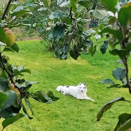 Vaeaena-joesuu Kodumaja * Vaana-Joesuu