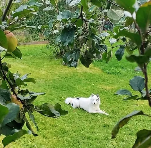 Vaeaena-joesuu Kodumaja * Vaana-Joesuu